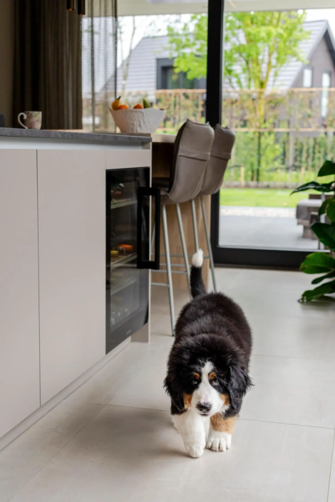 Poggenpohl keuken Oisterwijk